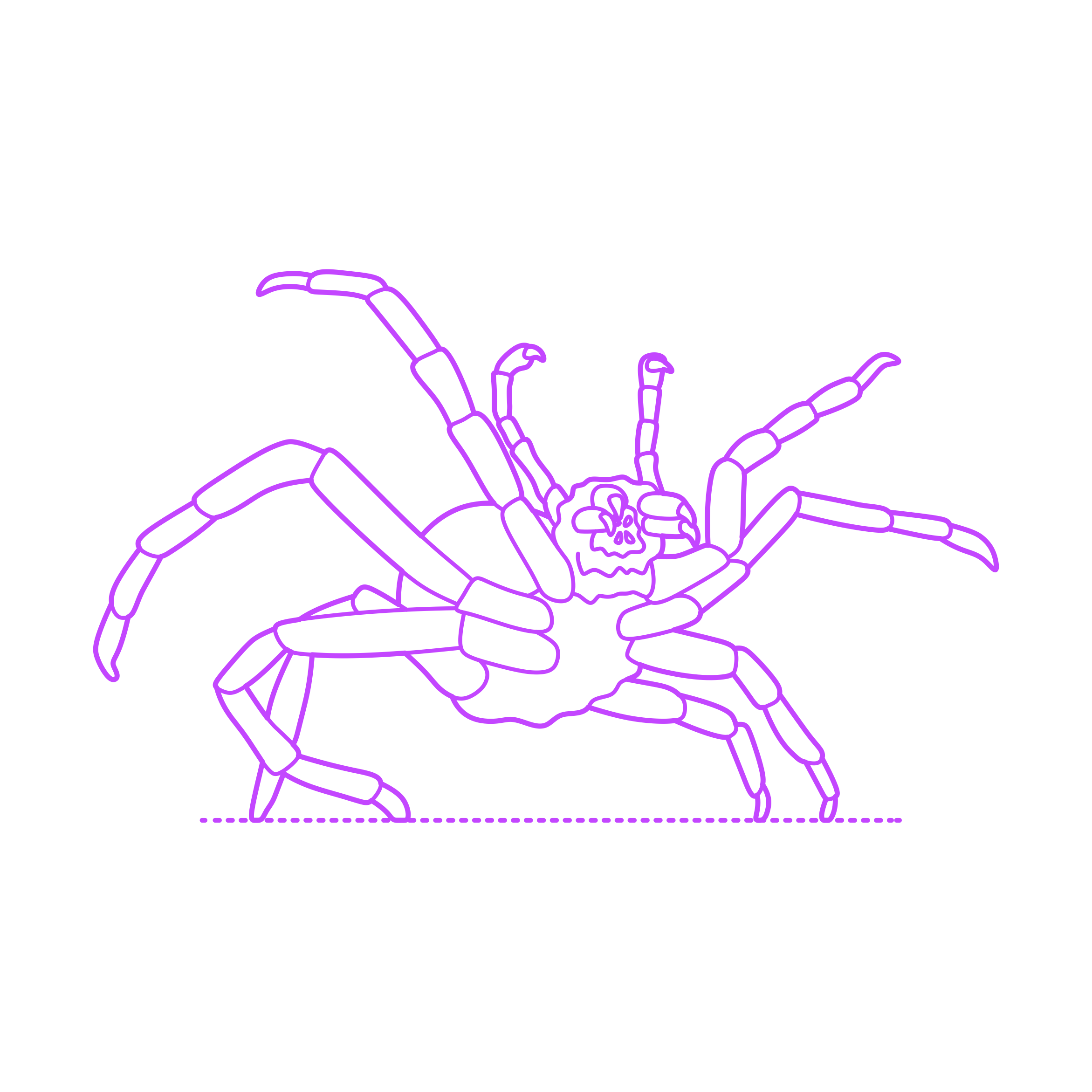 Pop Culture Lord Of The Rings Shelob Sticker Svg Vector Free Vectors
